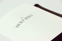 Holy Bible title page 