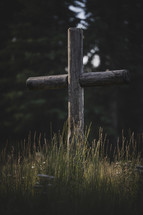 Old Rugged Cross In A Grassy Field