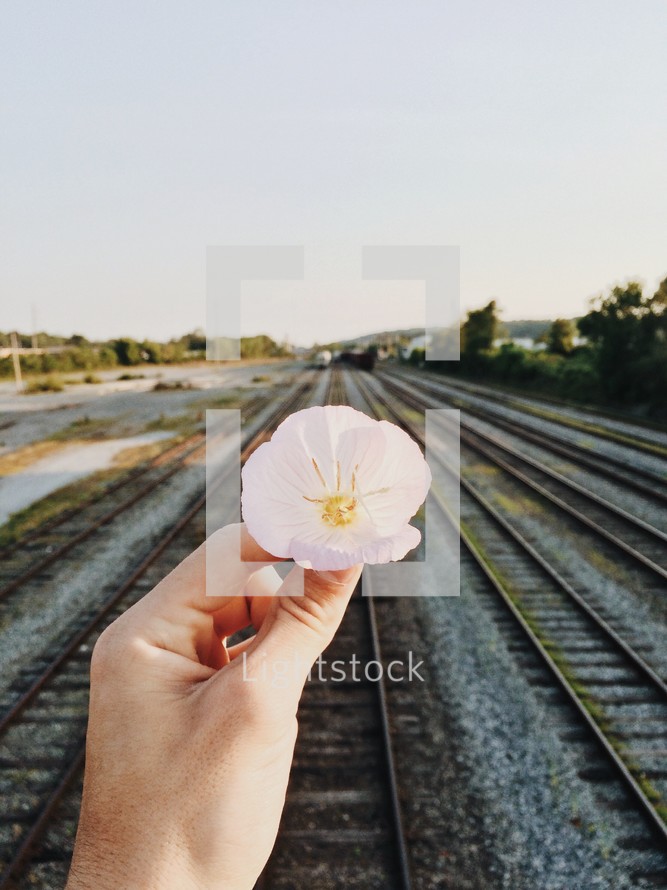 a man holding a flower near railroad tracks 