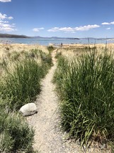 trail leading to a lake 