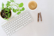 house plant, keyboard, pencils, and coffee mug, on a desk 