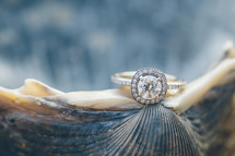 engagement ring on a seashell 