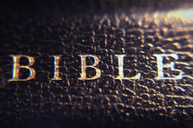 Text Bible