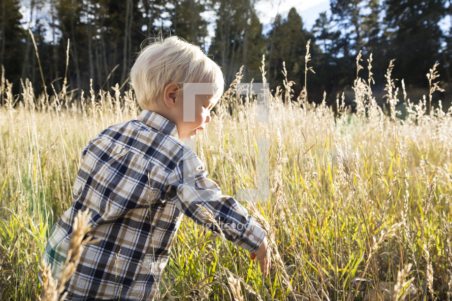 toddler boy walking in a field of tall grasses 