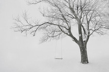 Rope swing on a snow-covered tree in the winter.