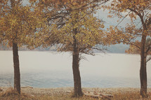 Three dreamy autumn trees along Waterton lake, Canada