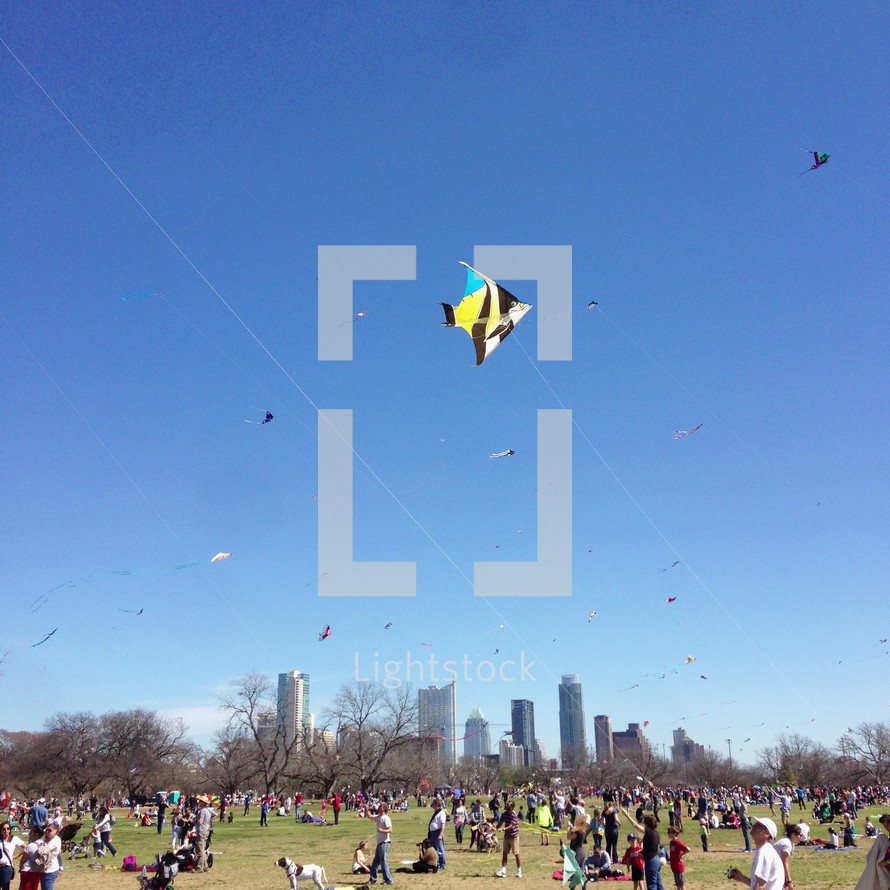 flying kites in central park 