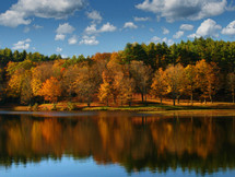 fall trees reflecting on lake water