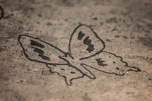 butterfly stamp on concrete 