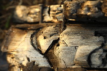 weathered wood closeup 