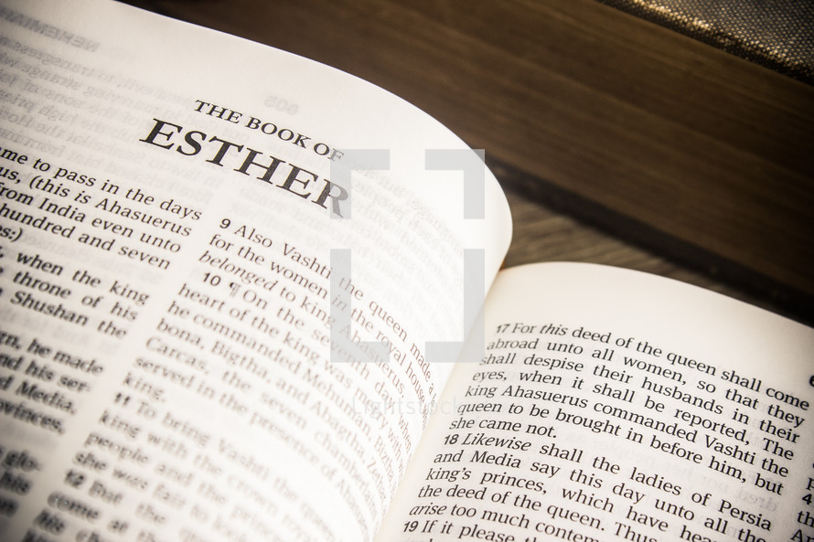 The book of Esther 