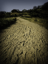 Footprints on a dirt trail.