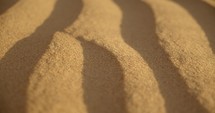 sand ripples 