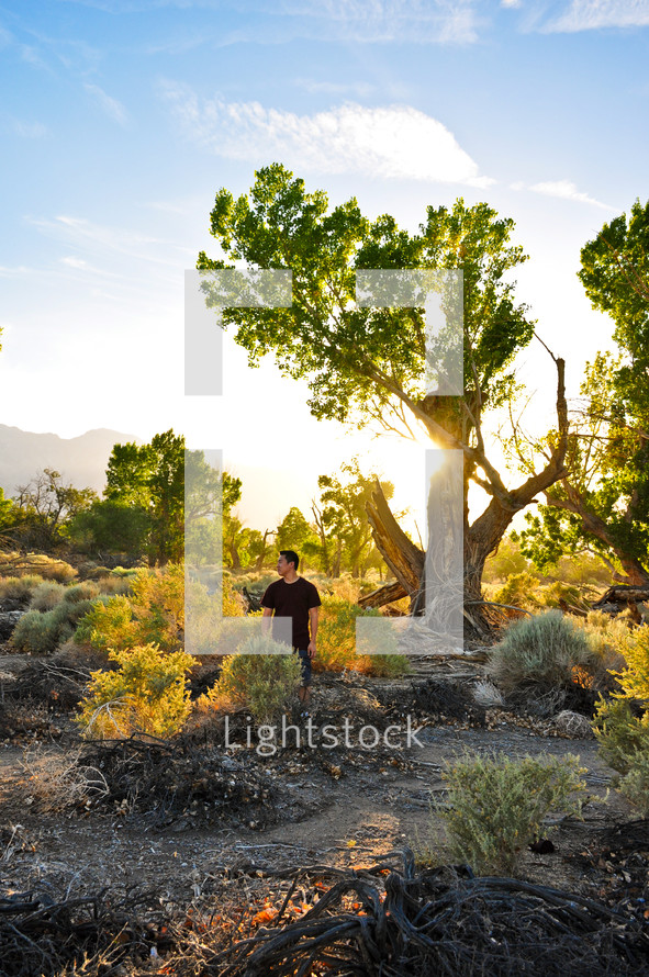 a man standing under a tree glowing in sunlight 