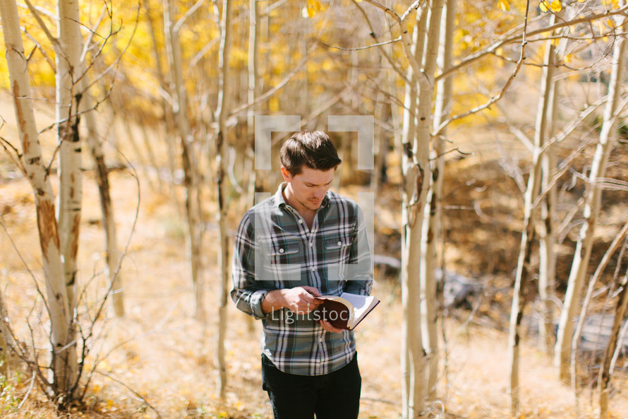 a man standing alone in a forest reading a Bible 