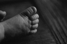 A baby's foot
