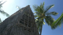 A primitive thatched-roof hut in the tropics