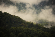 Misty clouds in a mountain forest