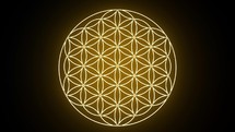 The Flower of Life Forming Sacred Geometry Symbol