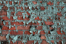 Green paint peeling from red bricks. 