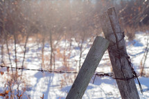 barbwire fence in snow 