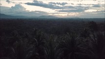 drone flight over jungles in the Philippines 