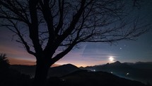 Beautiful view under old tree silhouette on starry night sky in mountains landscape Time-lapse Astronomy

