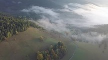 Aerial view of foggy morning in autumn country at sunrise. Drone flight
