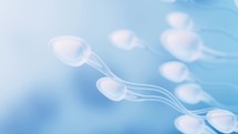 Human sperm cells, 3d rendering.