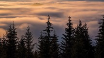 Colorful clouds above forest trees in beautiful evening nature Time lapse Background
