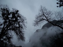 A thick fog bank shrouds the trees and mountains in February in Yosemite National Forest in Central California. 