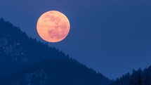 Red full moon is setting down over forest mountains in blue winter evening nature Time lapse
