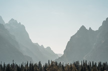 mountain peaks and forest 