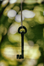 skeleton key hanging from a tree 