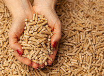 cupped hands holding wood pellets 