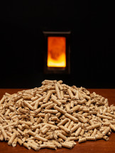 Wood pellets and combustion chamber.