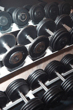 free weights 