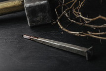 Crown of thorns, hammer and a blood covered nail.