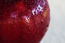 A close up look at a red apple