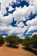 blue sky and clouds over a dry terrain 