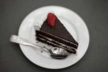 A slice of chocolate cake on a white plate.