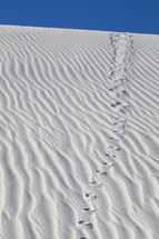tracks and ripples in sand 