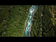 aerial view over a river through a green forest 