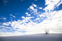 grassy patch in sand and blue sky 