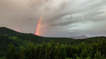 Colorful rainbow over green forest Time lapse
