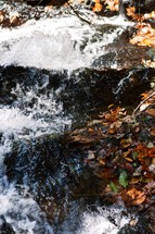 water flowing in a stream near fallen leaves