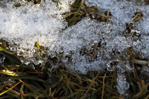 melting snow on grass