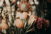 bouquet of tulips 