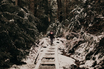 a person hiking on a path through a winter forest 