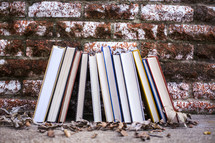 row of books outdoors against a brick wall 